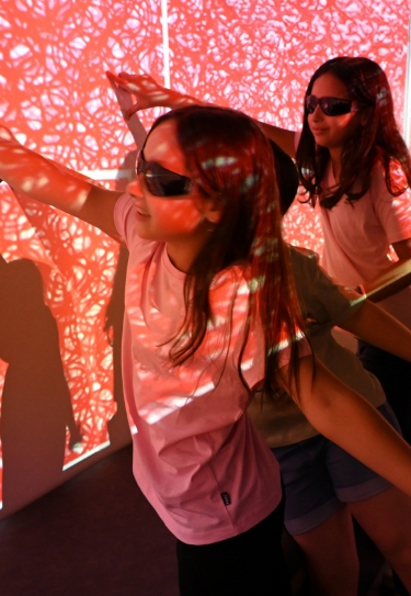 Welcome to the Davidson Institute of Science Education