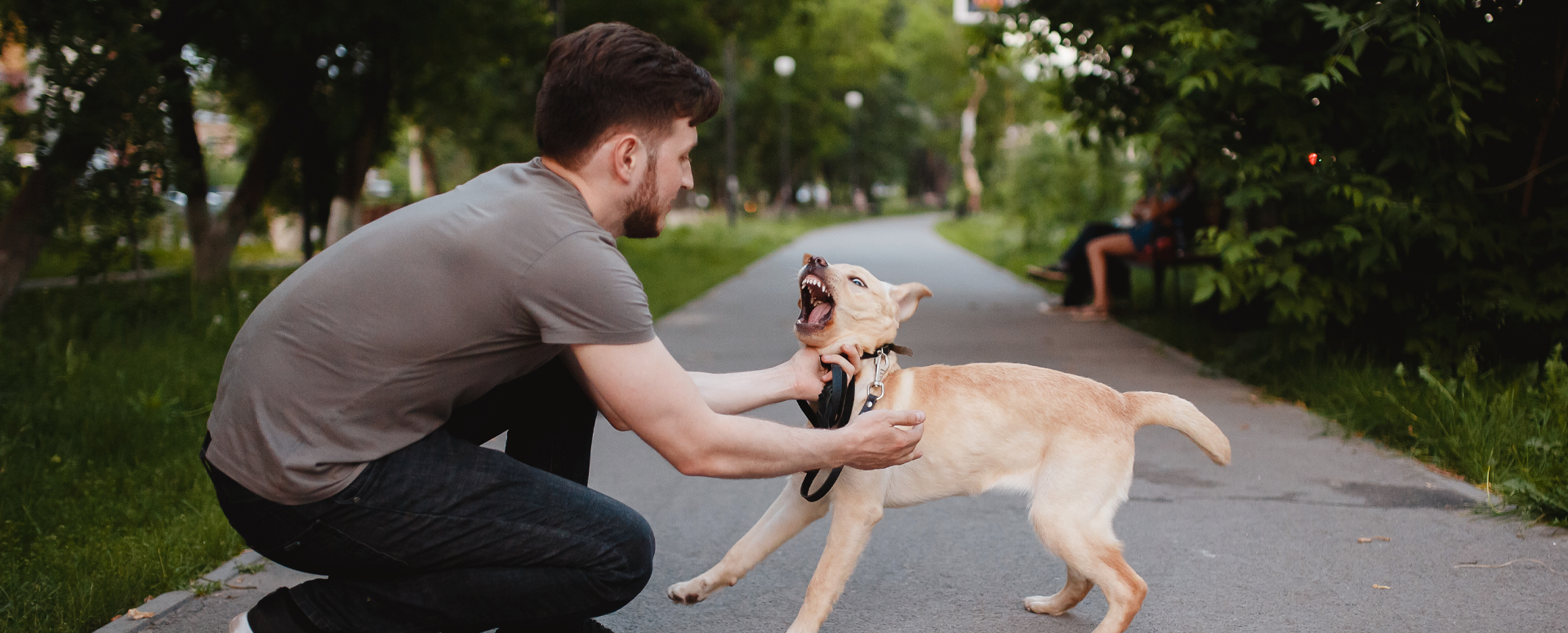 מחלות ללא גבולות: שפעת, חצבת, כלבת